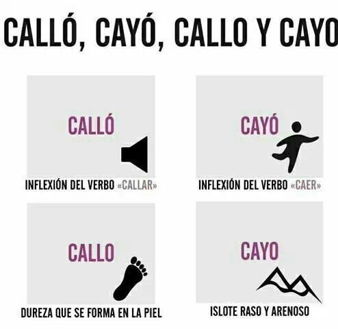 callo cayo