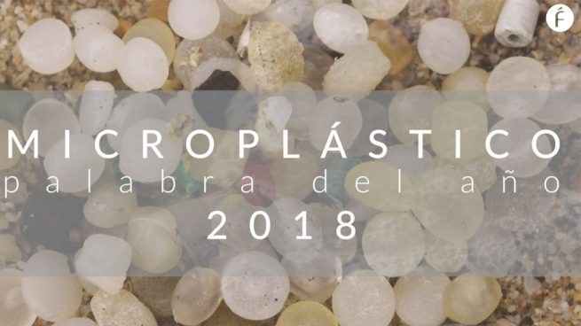 microplastico